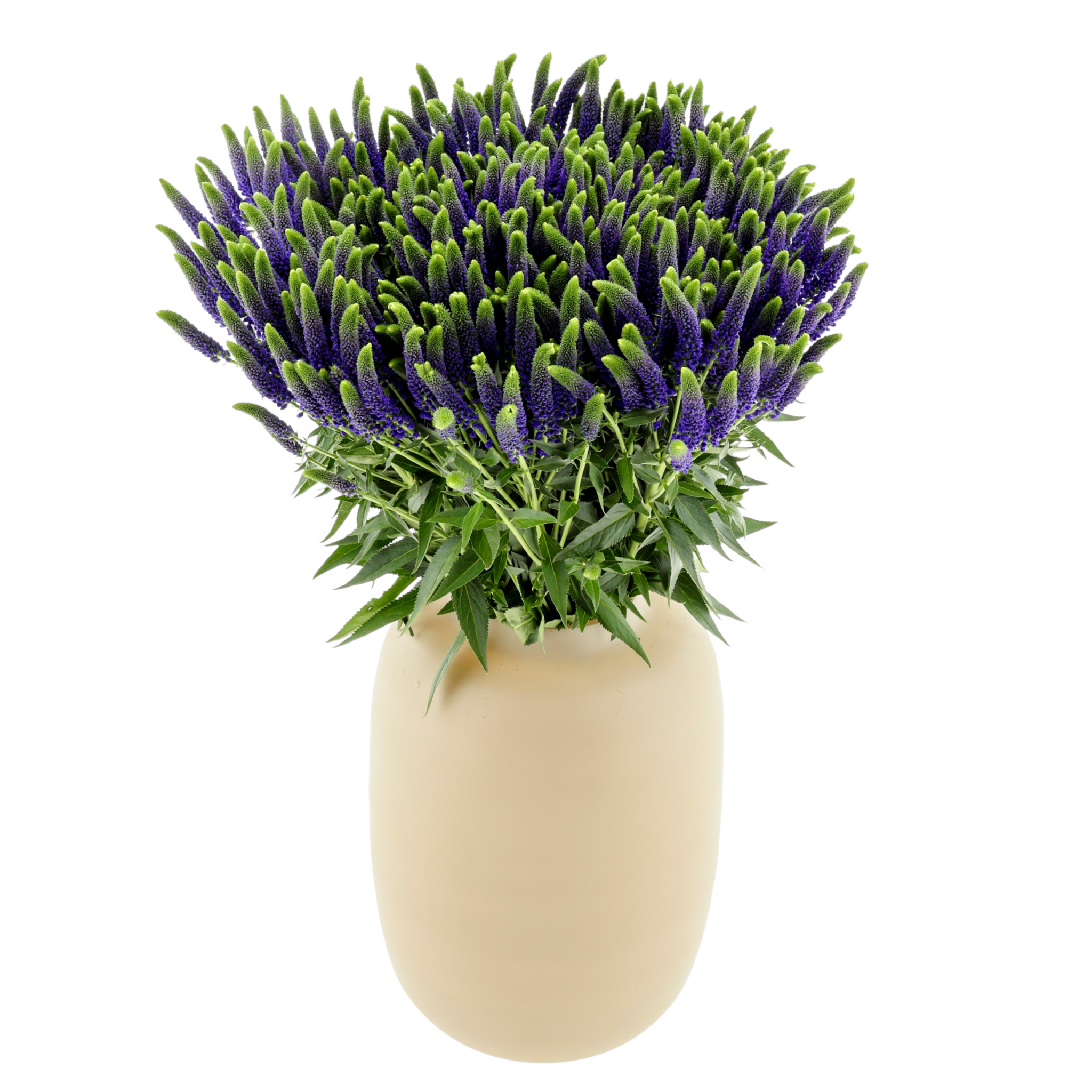 Veronica Smart Safira Spray